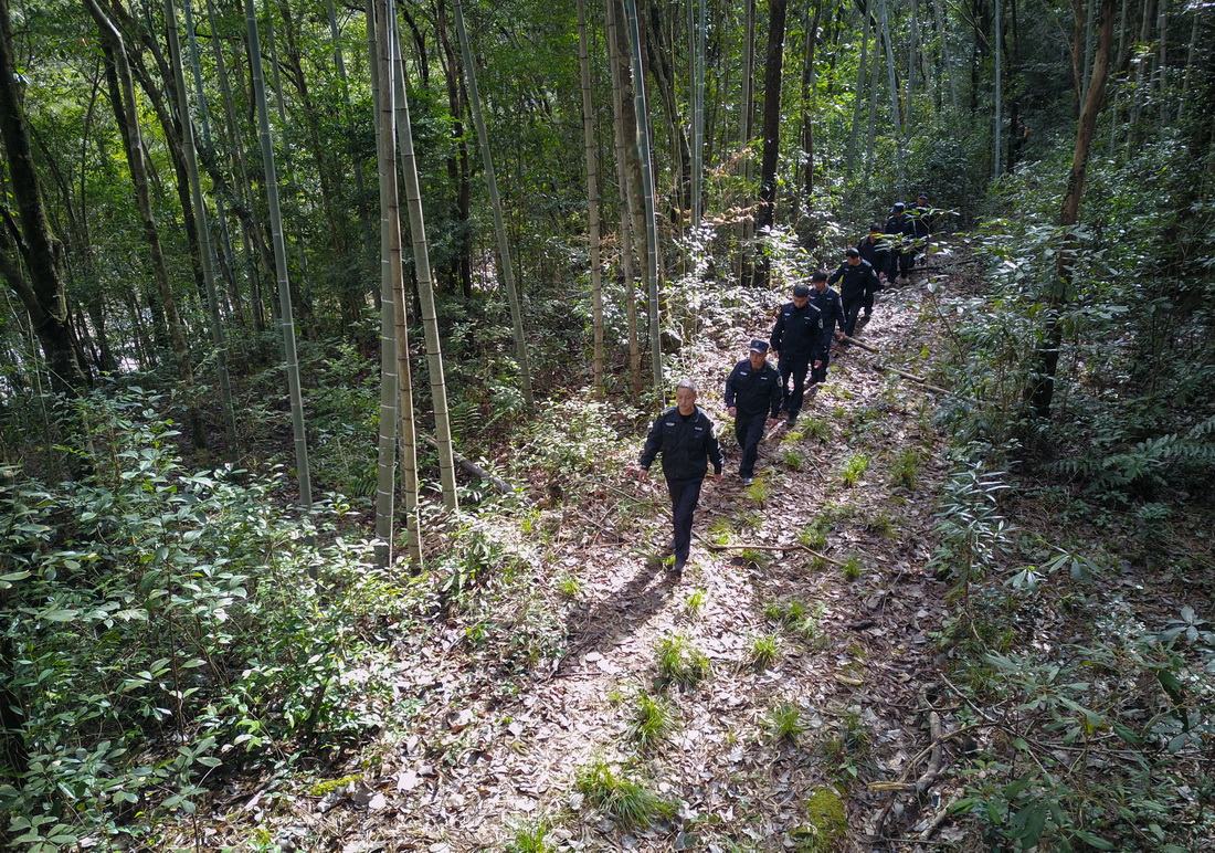 1月19日，武夷山國(guó)家公園護(hù)林員在巡山（無(wú)人機(jī)照片）。新華社發(fā)（周義 攝）