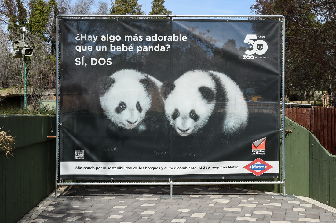 這是3月7日在西班牙馬德里動(dòng)物園拍攝的大熊貓雙胞胎海報(bào)，上面寫(xiě)著“有什么比一只大熊貓寶寶更可愛(ài)的嗎？有，兩只?！?/></a>
              </div>
              <span><a href='/n1/2023/0309/c1016-32640205.html' target=