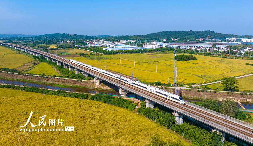 安徽蕪湖：金秋田園“豐”景美【2】