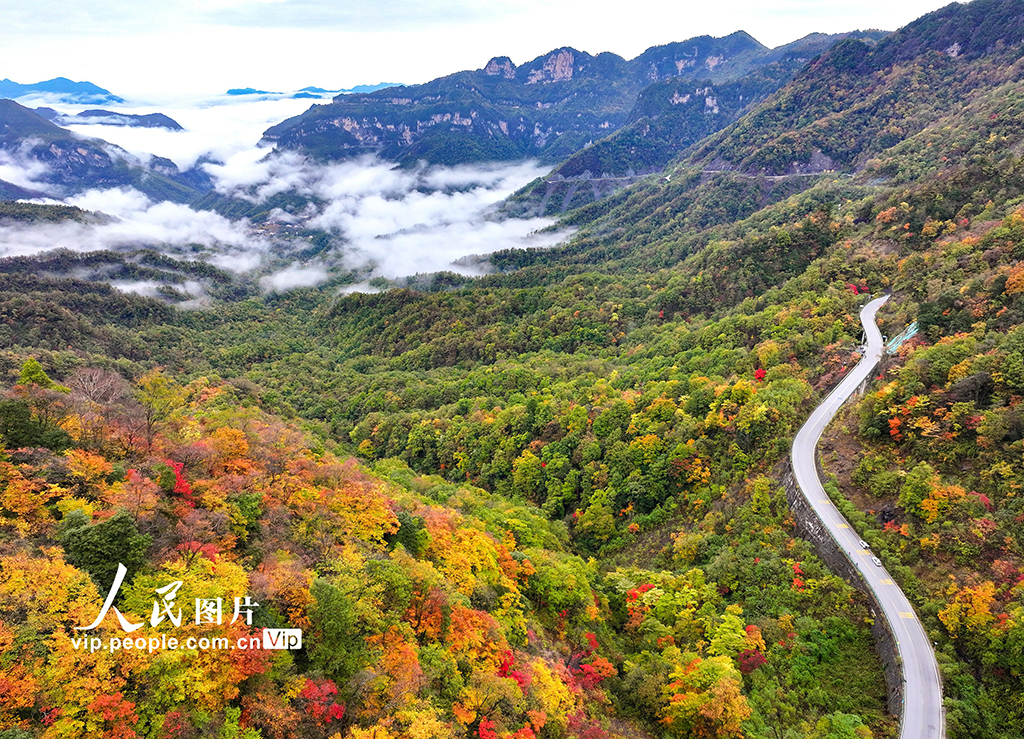 湖北神農(nóng)架：層林盡染 秋景如畫【2】