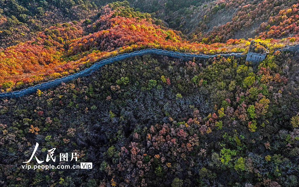 河北秦皇島：深秋長(zhǎng)城美如畫【2】