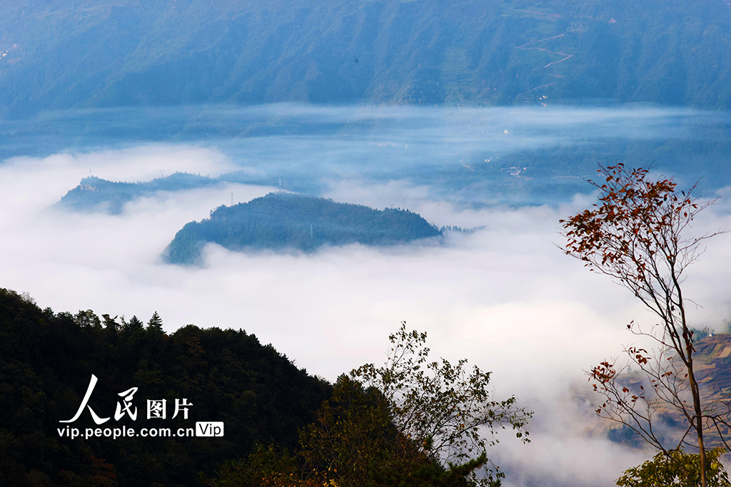 重慶黔江：萬(wàn)畝彩葉林似錦緞【9】