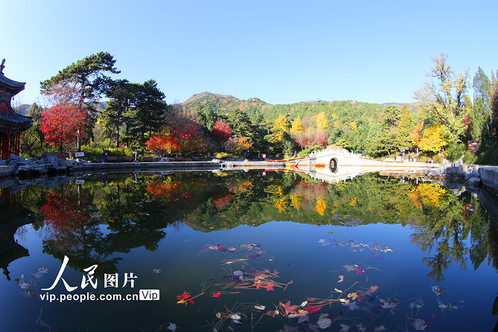 北京：香山秋景如畫醉游人【2】