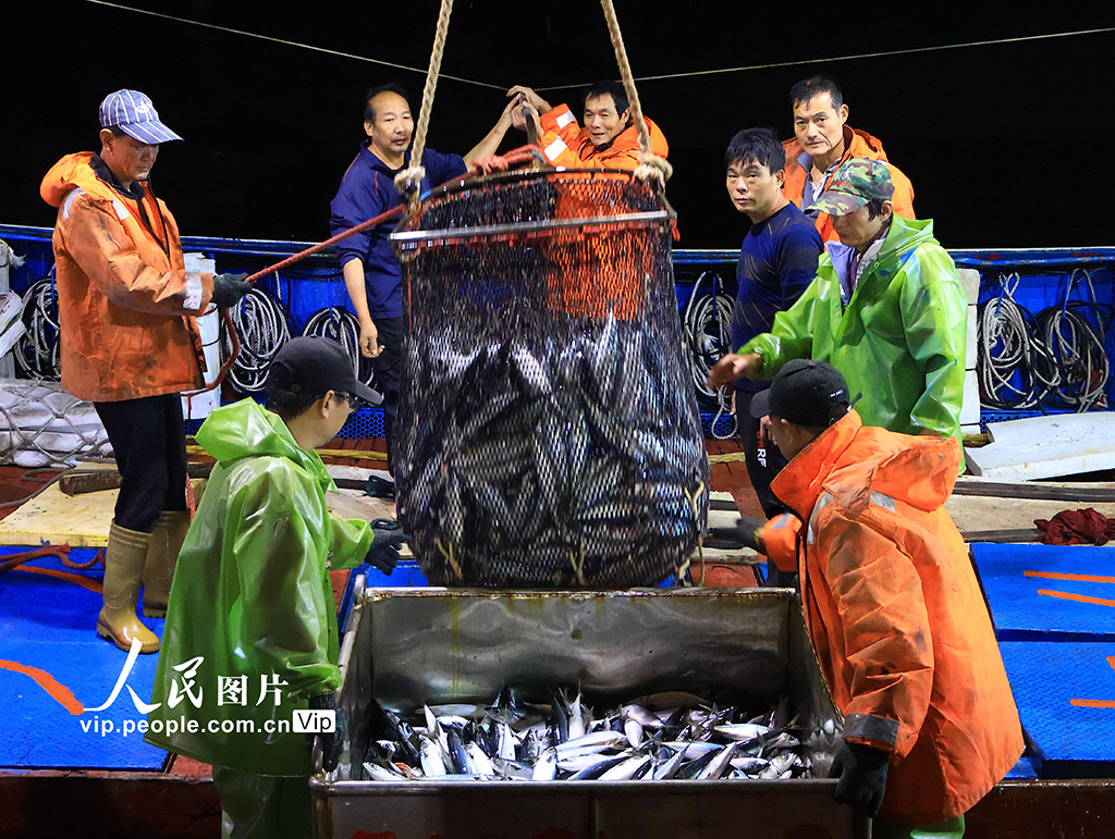 浙江玉環(huán)：漁船回港 海魚滿倉【2】