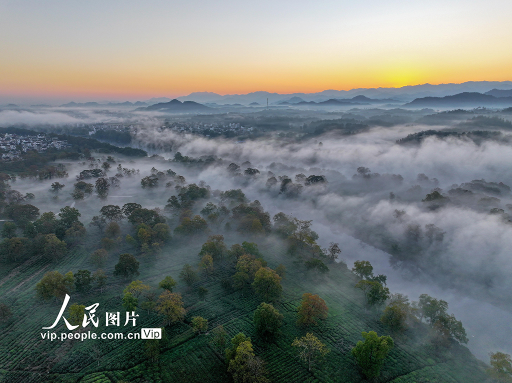 安徽黃山：鄉(xiāng)村晨景如畫【5】