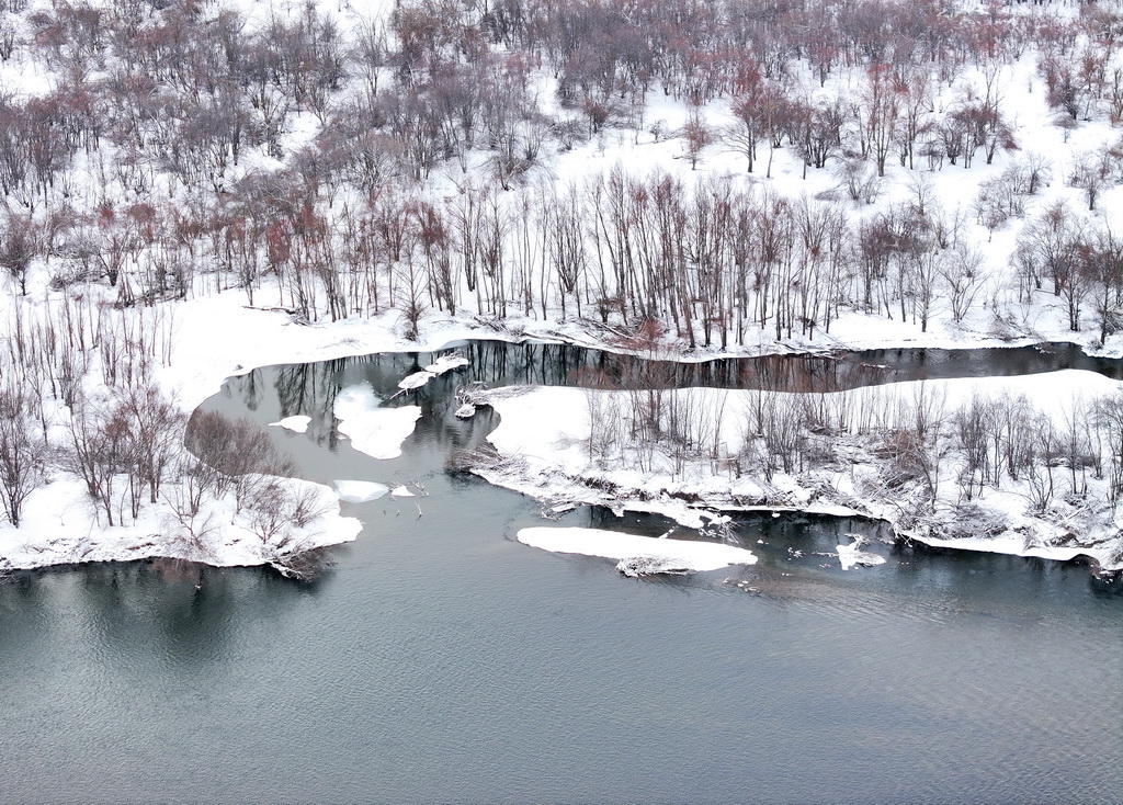 這是11月12日拍攝的額爾古納濕地雪景（無(wú)人機(jī)照片）。