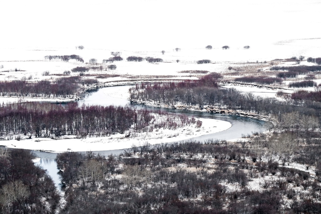 這是11月12日拍攝的額爾古納濕地雪景。