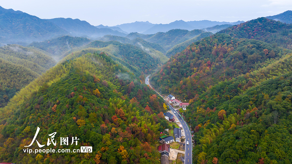 安徽寧國(guó)：“交旅融合”繪新景【3】