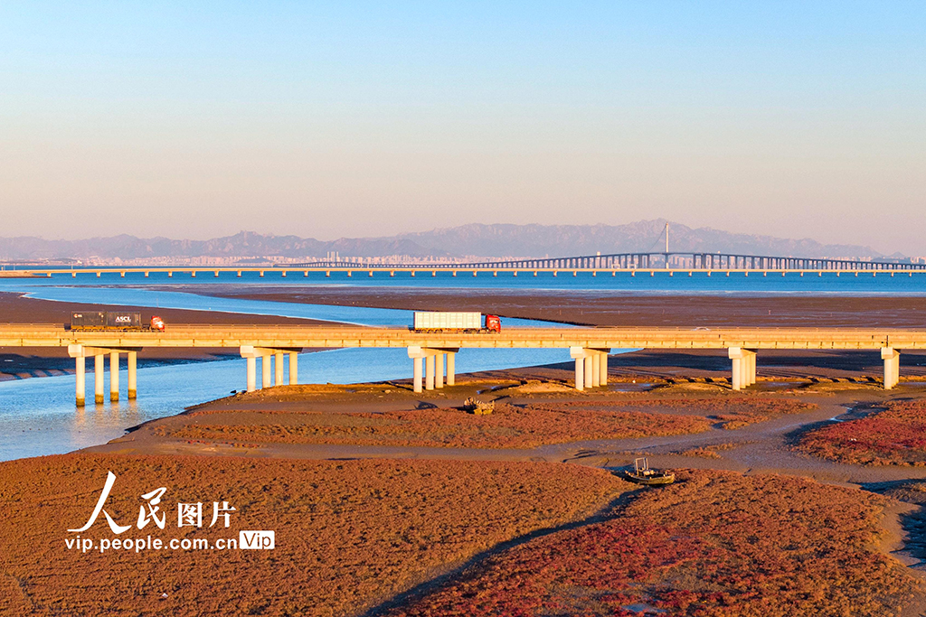 山東青島：紅海灘冬日景色美【6】