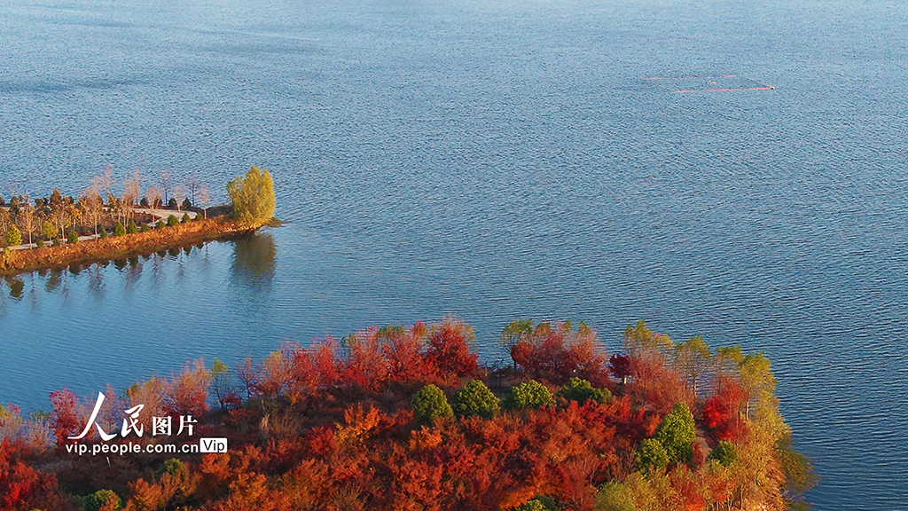 河南南陽(yáng)：生態(tài)水庫(kù) 冬景如畫【3】