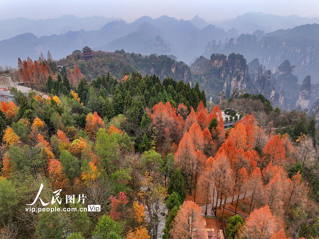 湖南張家界：武陵源五彩斑斕冬景如畫【4】