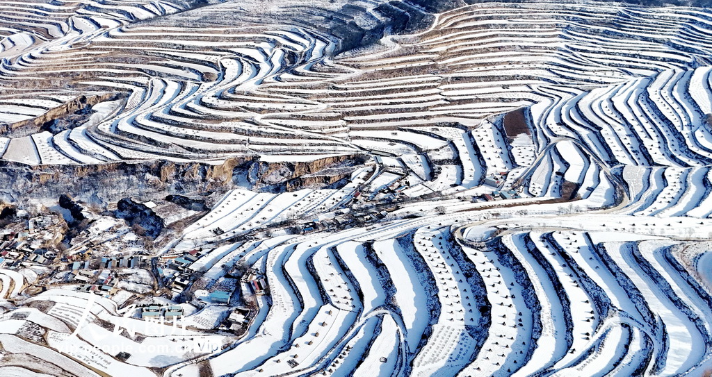 2024年12月13日，在甘肅省平?jīng)鍪徐o寧縣靈芝鄉(xiāng)馬圈山拍攝的雪后梯田景象。