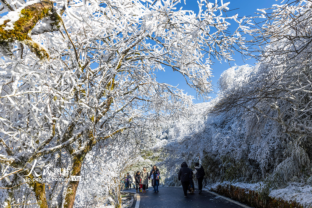 重慶南川：金佛山冰雪引客來【2】