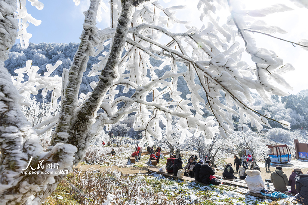 重慶南川：金佛山冰雪引客來【4】