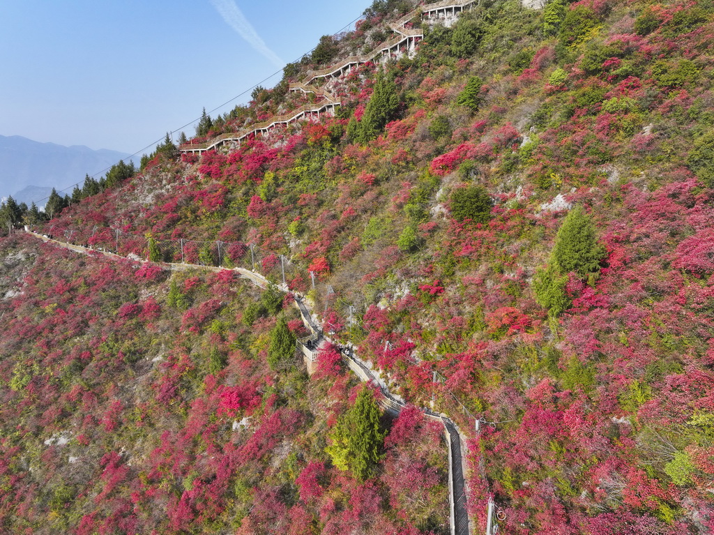 12月18日，游客在重慶巫山文峰景區(qū)游覽（無人機(jī)照片）。