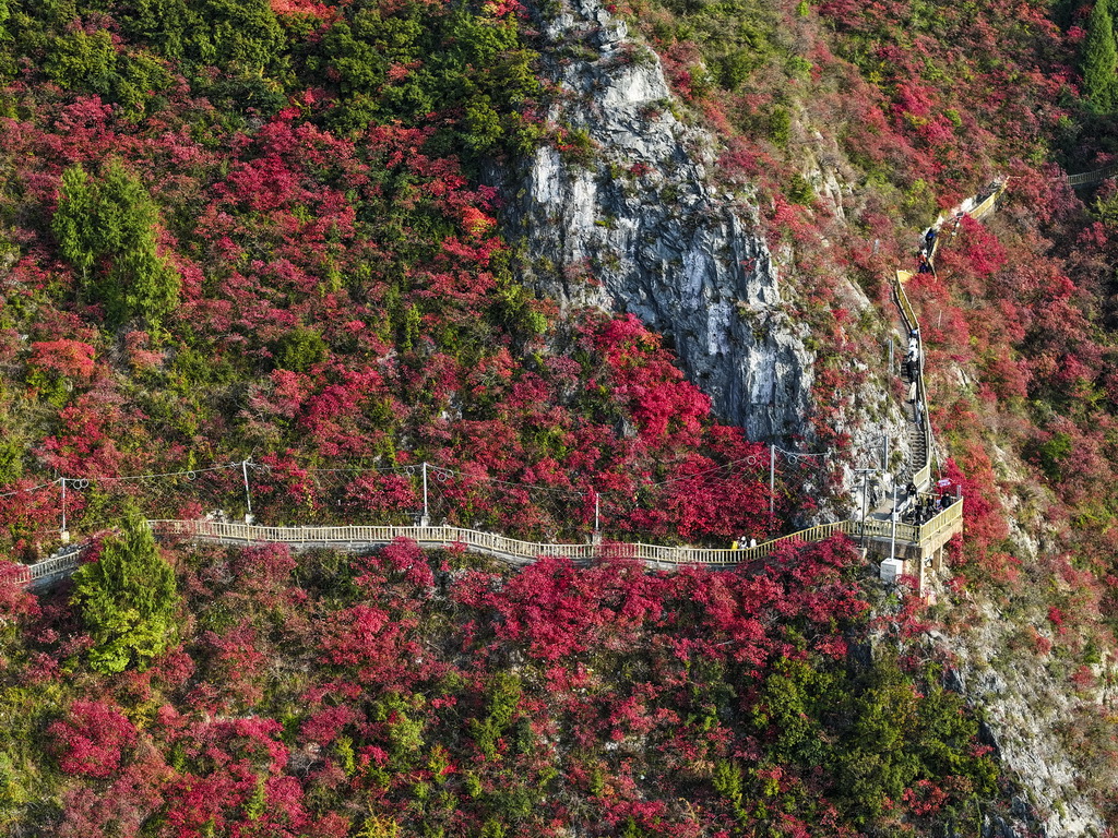 12月18日，游客在重慶巫山文峰景區(qū)游覽（無人機(jī)照片）。