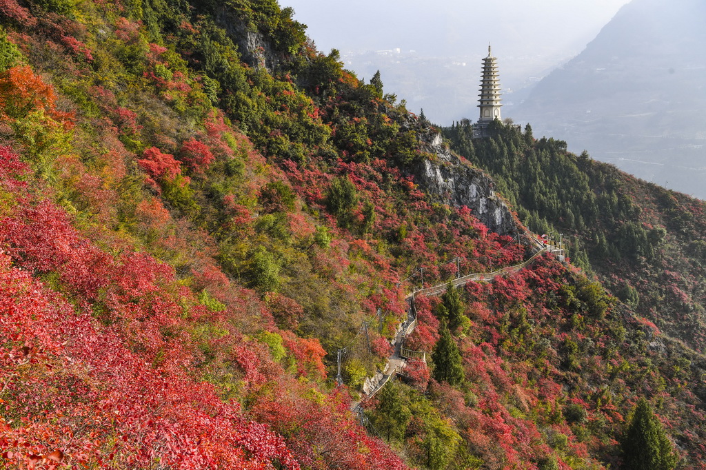 這是12月18日拍攝的重慶巫山文峰景區(qū)景色。