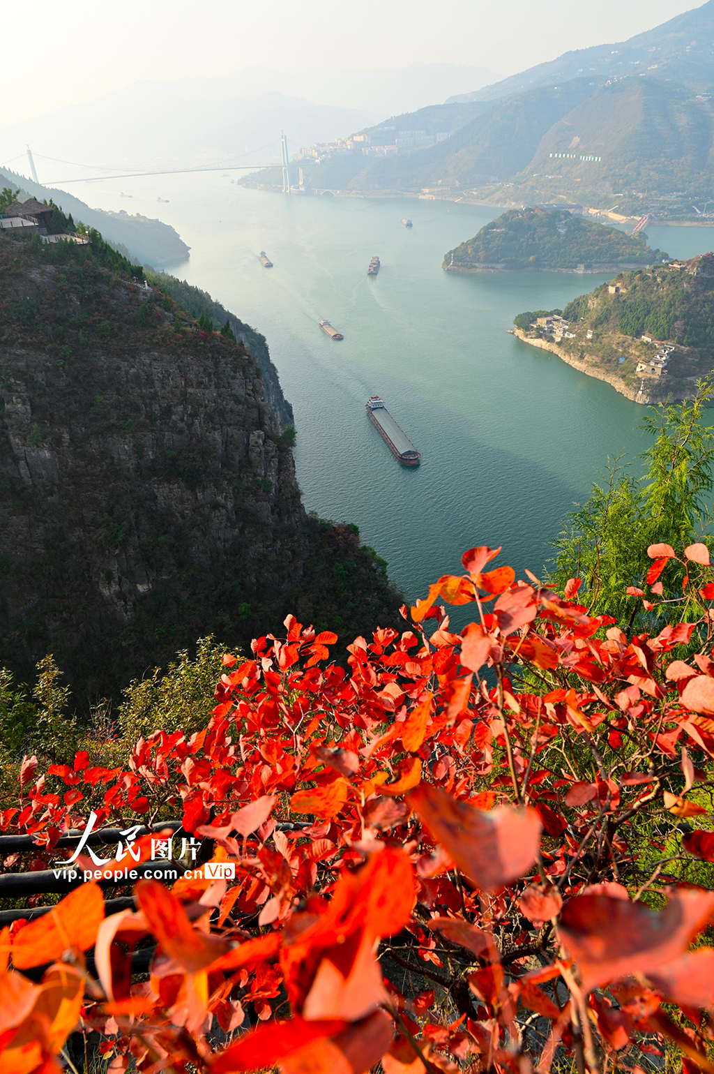 重慶：紅葉點(diǎn)綴長(zhǎng)江兩岸 層林盡染美如畫(huà)【2】