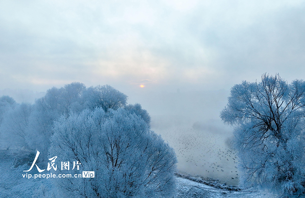 內(nèi)蒙古呼和浩特：霧凇美景 宛若仙境【10】