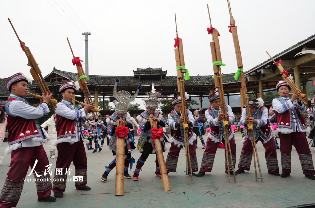 12月22日，在廣西柳州市融水苗族自治縣融水鎮(zhèn)夢嗚苗寨，主寨“同年”吹奏蘆笙。