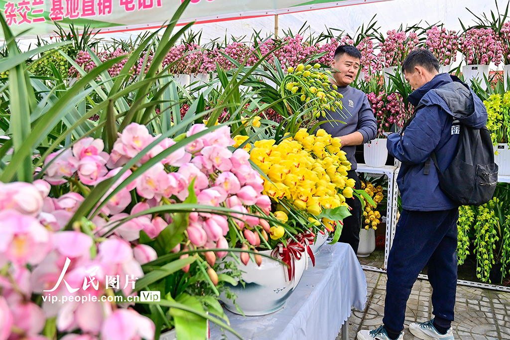 山東青州：新年臨近 鮮花俏銷【3】