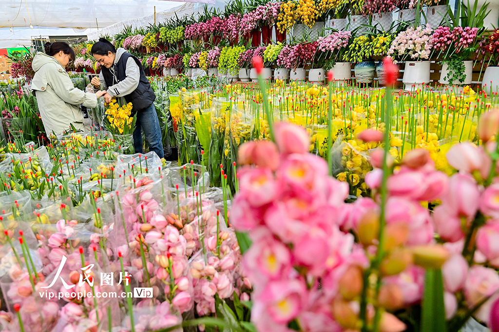 山東青州：新年臨近 鮮花俏銷【5】