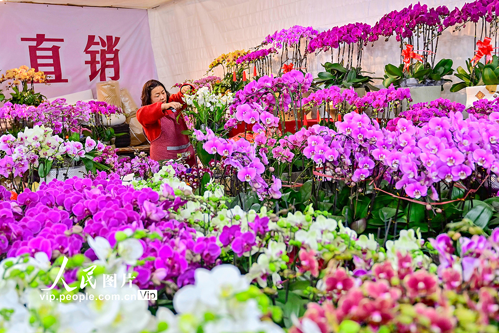 山東青州：新年臨近 鮮花俏銷【9】