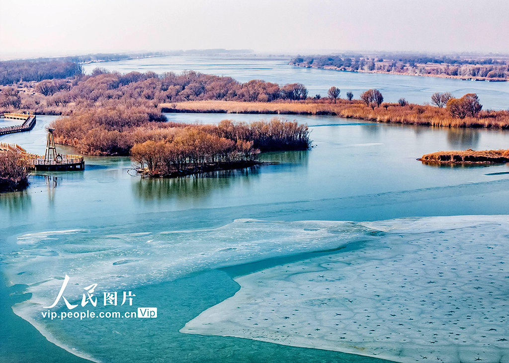 山東東營(yíng)：黃河口濕地現(xiàn)冰花景觀【3】