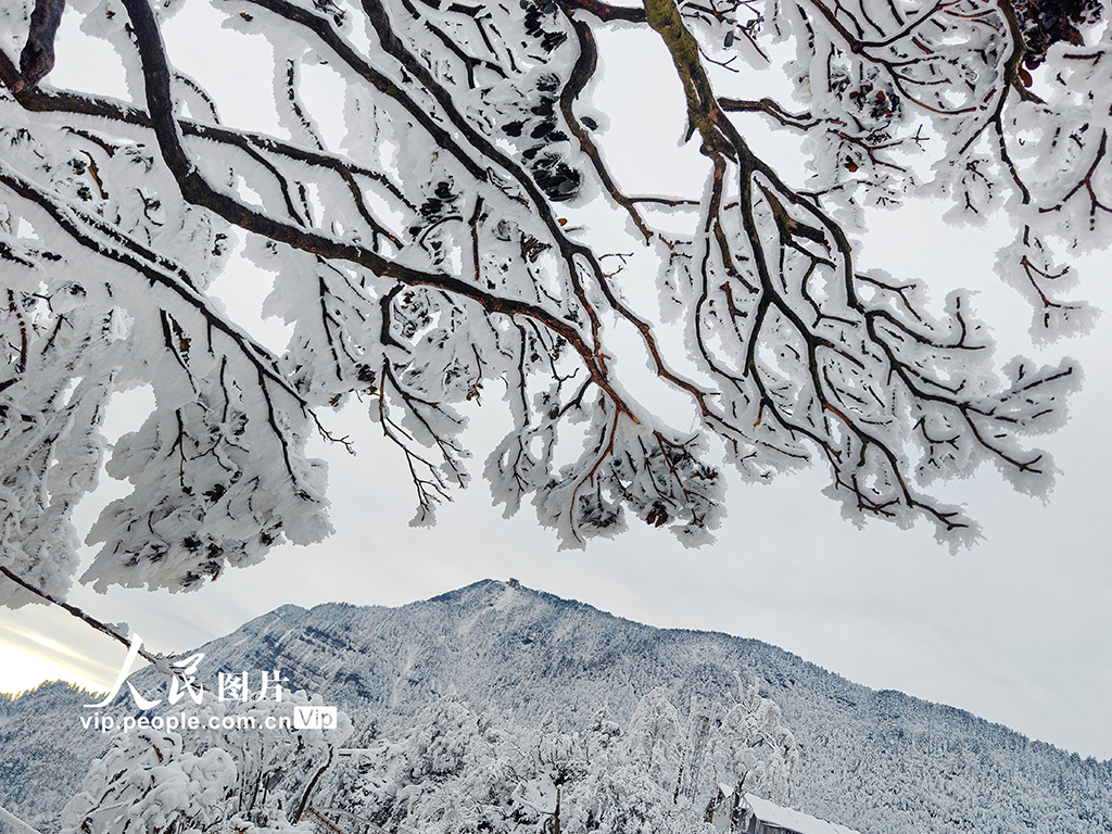 四川樂山：峨眉山冰雪旅游持續(xù)升溫【4】