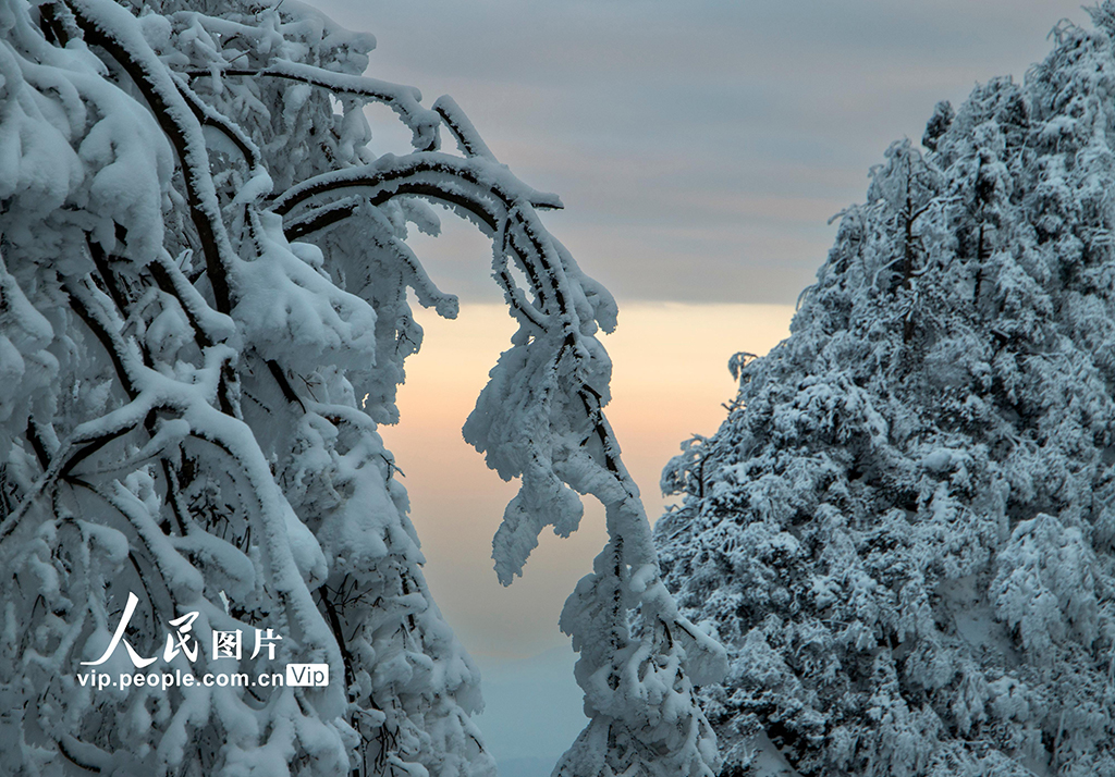 四川樂山：峨眉山冰雪旅游持續(xù)升溫【5】