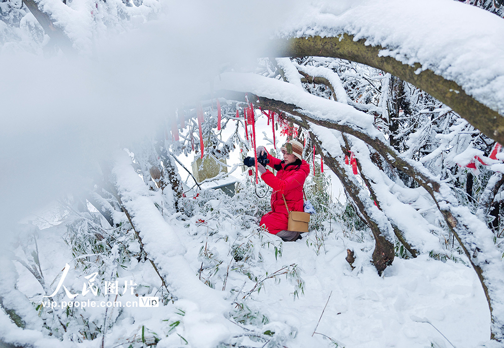 四川樂山：峨眉山冰雪旅游持續(xù)升溫【6】