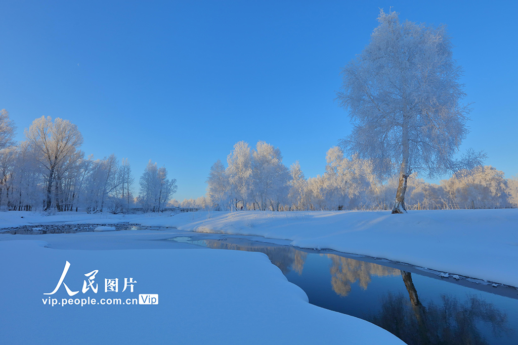 新疆哈巴河：白樺林國(guó)家森林公園出現(xiàn)霧凇美景【4】