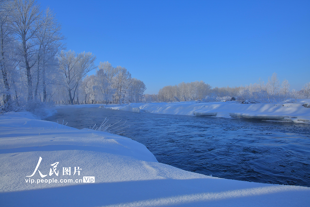 新疆哈巴河：白樺林國(guó)家森林公園出現(xiàn)霧凇美景【7】