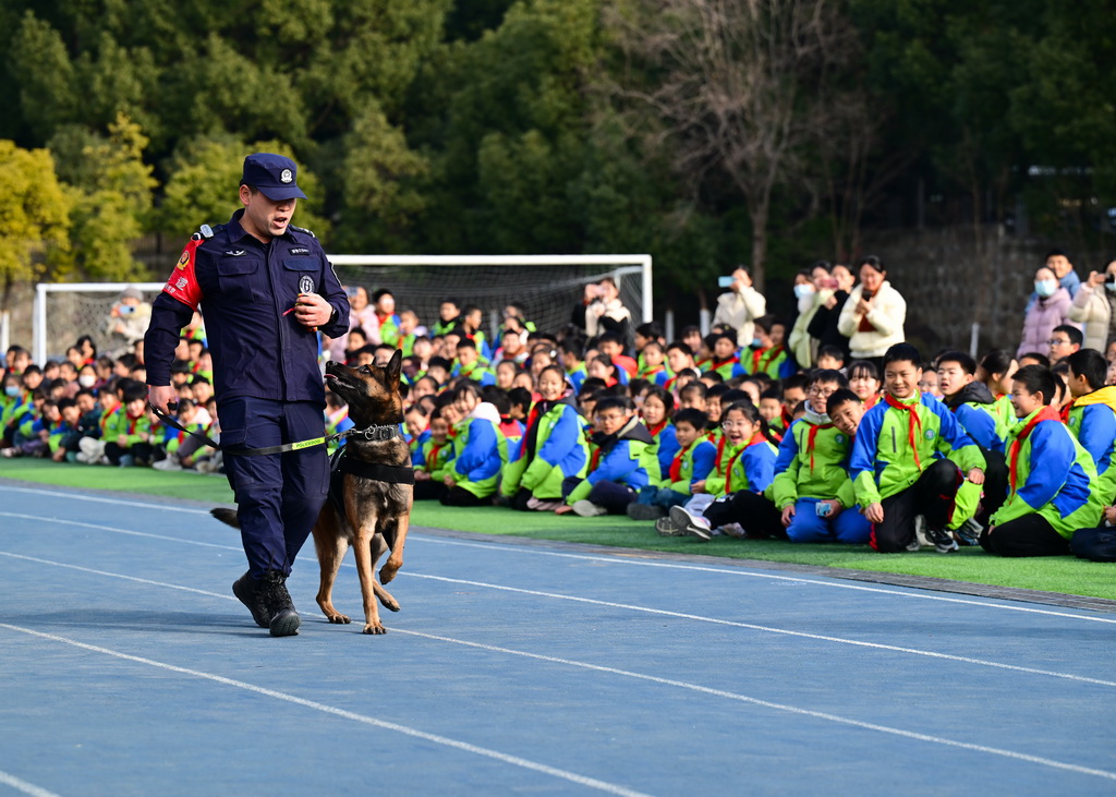 1月7日，小朋友在活動現(xiàn)場觀看警犬訓(xùn)練。