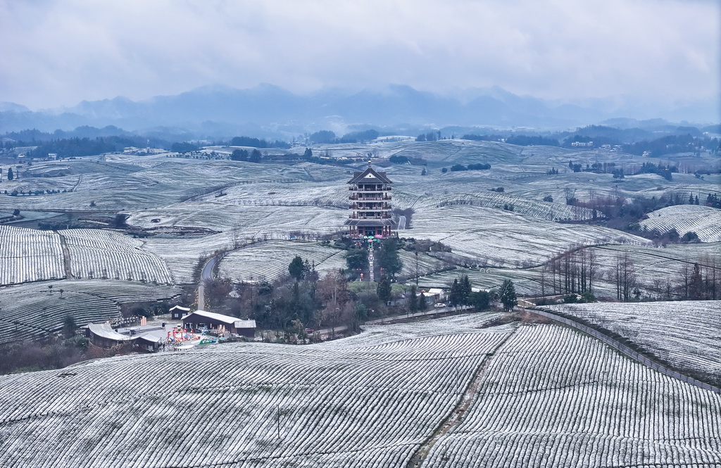 這是雪后的湄潭茶海景區(qū)（1月9日攝，無人機(jī)照片）。