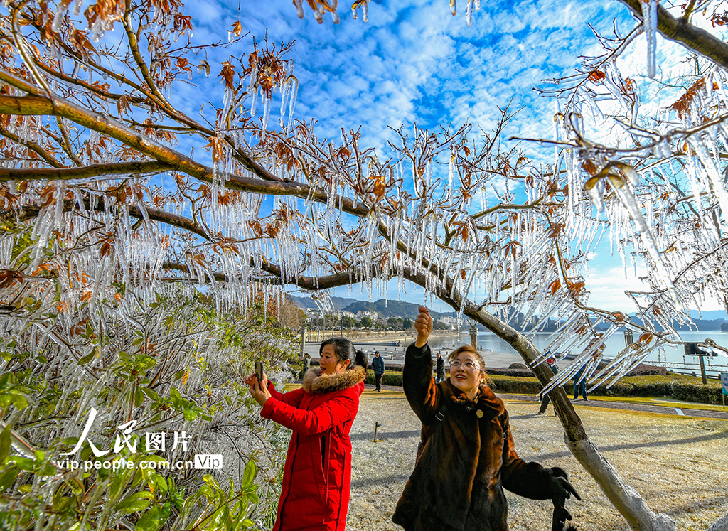 浙江淳安：千島湖畔出現(xiàn)冰凌景觀【3】