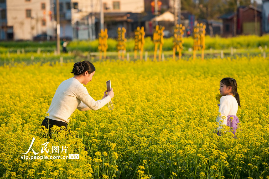 廣東平遠(yuǎn)：油菜花盛開迎客來【2】