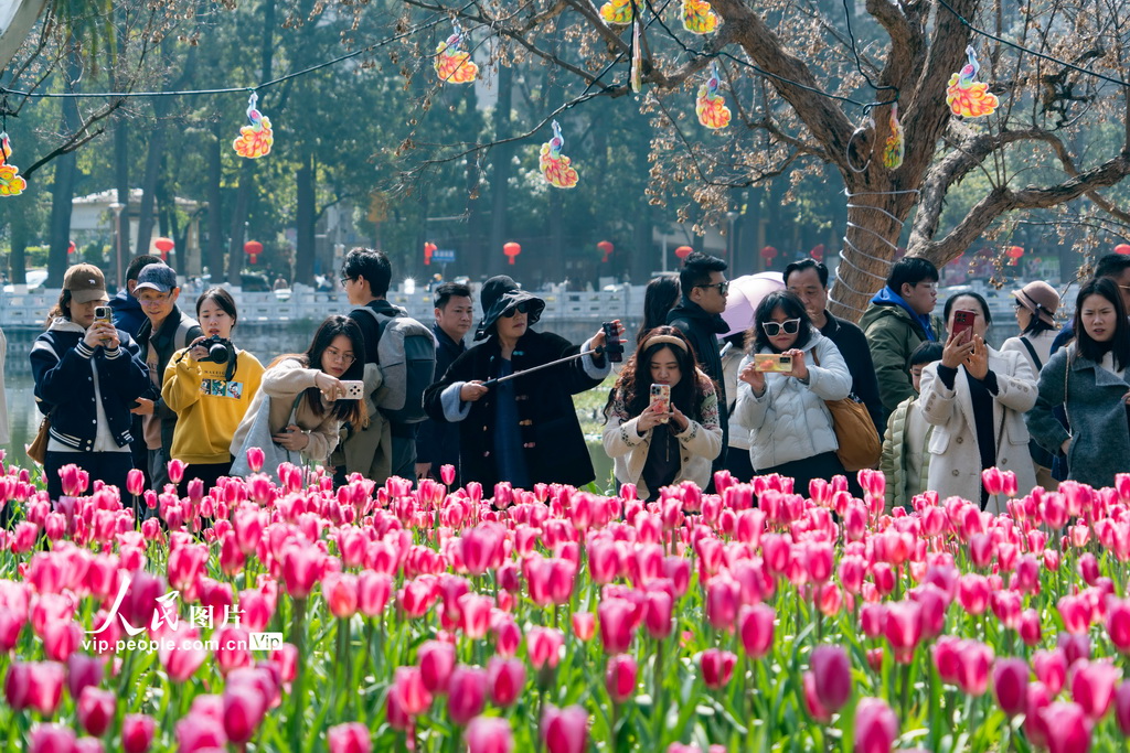 云南昆明：公園賞花 樂享假期【4】