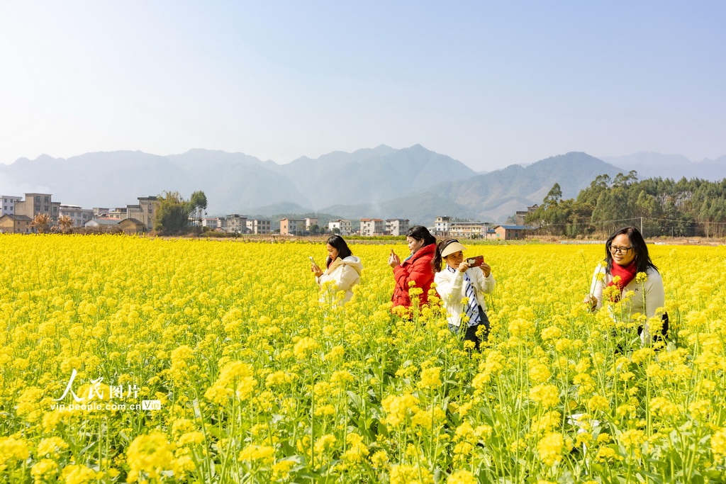 廣西蒙山：春暖花開鄉(xiāng)村美