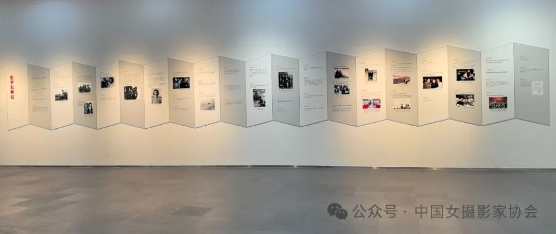 展覽現(xiàn)場。